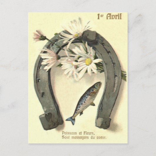 Fish Horseshoe Daisy Postkarte (Vorderseite)