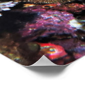 Fish in a Barrel Poster (Ecke)