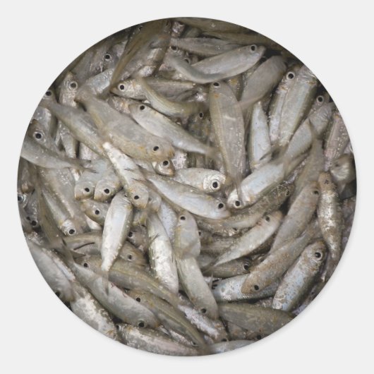 Fish in a Bucket Runder Aufkleber (Vorderseite)