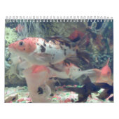 Fish Koi Calendar Kalender (Titelbild)