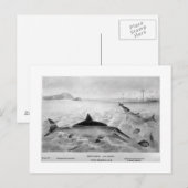 Fish Lizards Art Postcard Postkarte (Vorne/Hinten)