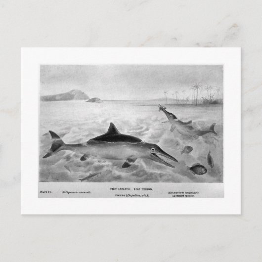 Fish Lizards Art Postcard Postkarte (Vorderseite)