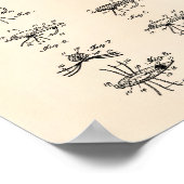 Fish Lure 1949 Patent Art Old Peper Poster (Ecke)