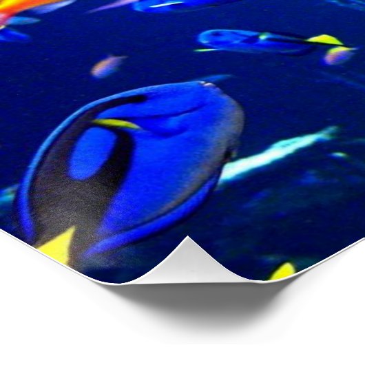 Fish Poster Beach House Poster (Ecke)