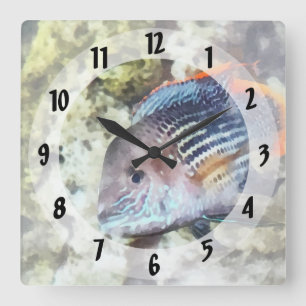 Fish - Rainbowfish Quadratische Wanduhr