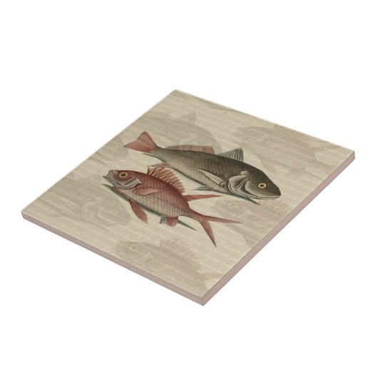 Fish Red Perch Fisherman Art Fliese (Seite)