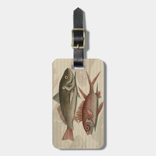 Fish Red Perch Fisherman Art Gepäckanhänger (Vorderseite vertikal)