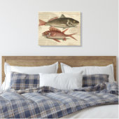 Fish Red Perch Fisherman Art Leinwanddruck (Insitu (Schlafzimmer))