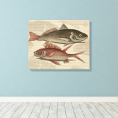 Fish Red Perch Fisherman Art Leinwanddruck (Insitu (Holzboden))