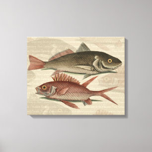 Fish Red Perch Fisherman Art Leinwanddruck