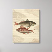 Fish Red Perch Fisherman Art Leinwanddruck (Vorderseite)