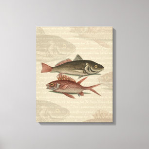 Fish Red Perch Fisherman Art Leinwanddruck