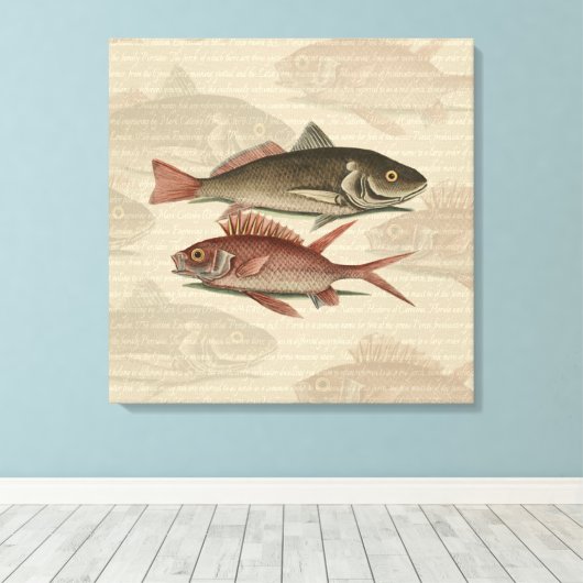 Fish Red Perch Fisherman Art Leinwanddruck (Insitu (Holzboden))