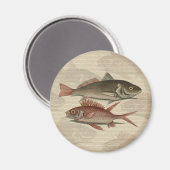 Fish Red Perch Fisherman Art Magnet (Vorderseite/Rückseite)