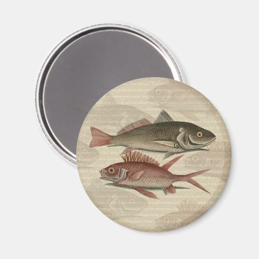 Fish Red Perch Fisherman Art Magnet (Vorderseite/Rückseite)