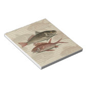 Fish Red Perch Fisherman Art Notizblock (angewinkelt)