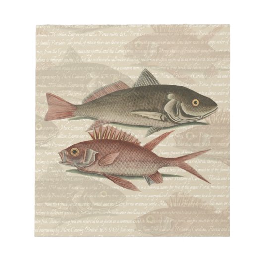Fish Red Perch Fisherman Art Notizblock (Vorderseite)