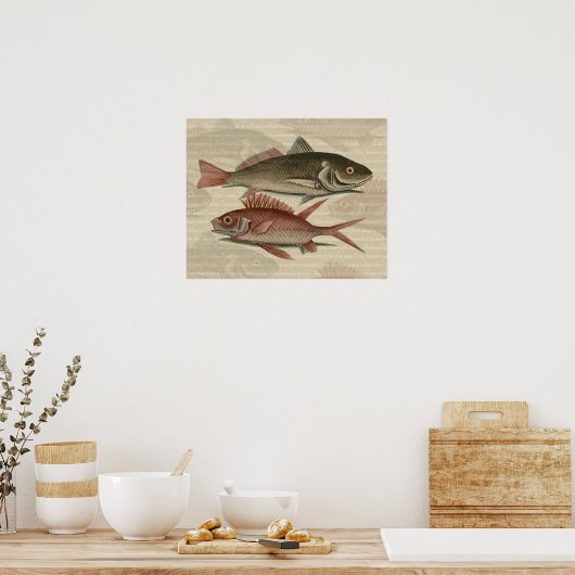 Fish Red Perch Fisherman Art Poster (Küche)