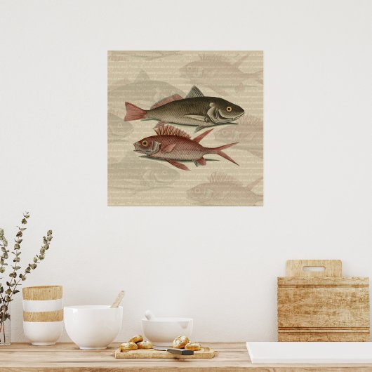 Fish Red Perch Fisherman Art Poster (Küche)