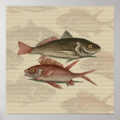 Fish Red Perch Fisherman Art Poster (Vorne)