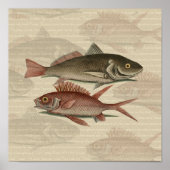 Fish Red Perch Fisherman Art Poster (Vorne)