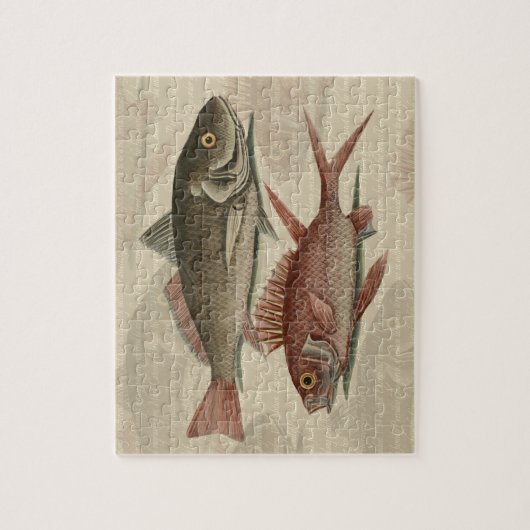 Fish Red Perch Fisherman Art Puzzle (Vertikal)