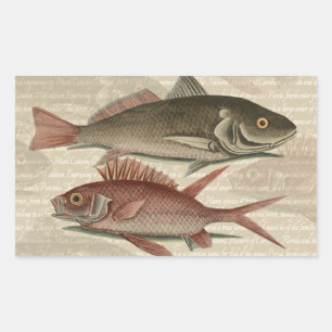 Fish Red Perch Fisherman Art Rechteckiger Aufkleber