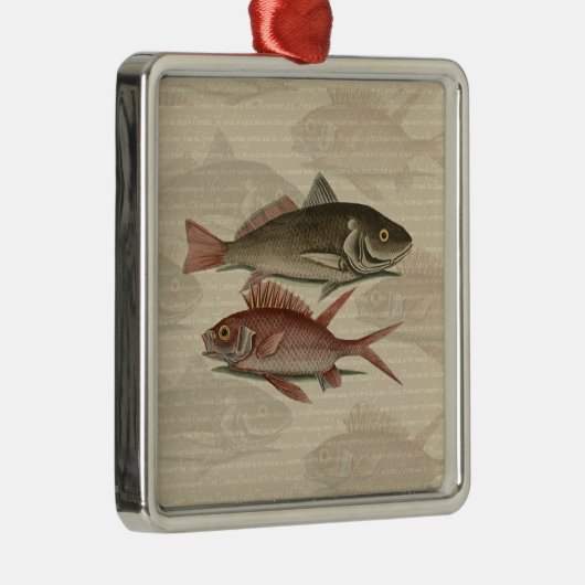 Fish Red Perch Fisherman Art Silbernes Ornament (Rechts)