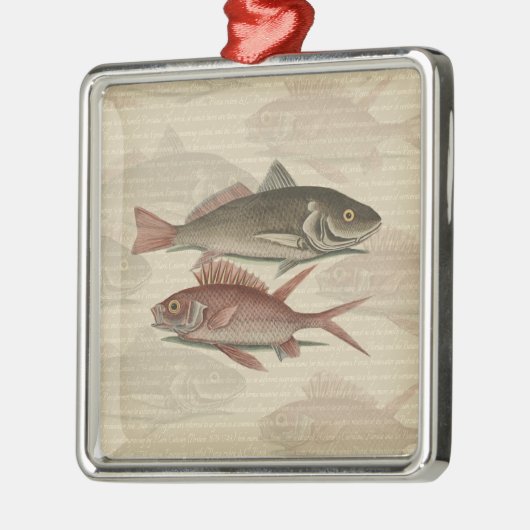 Fish Red Perch Fisherman Art Silbernes Ornament (Links)