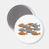 FISH - Silber und Kupferlachs Magnet (Vorderseite/Rückseite)