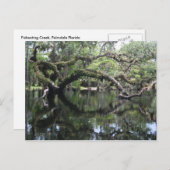 Fisheating Nebenfluss-Postkarte Postkarte (Vorne/Hinten)