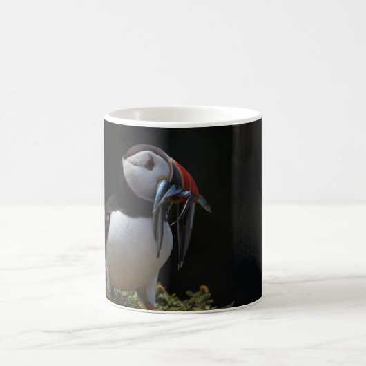 Fisher-Papageientaucher Kaffeetasse (Mittel)