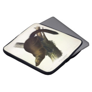 Fisher (Pennant's Marten oder Cat Fisher) von Audu Laptopschutzhülle