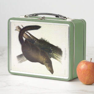 Fisher (Pennant's Marten oder Cat Fisher) von Audu Metall Brotdose