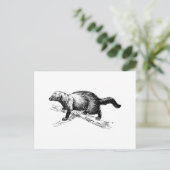 Fisher Postkarte (Stehend Vorderseite)