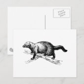 Fisher Postkarte (Vorne/Hinten)