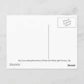 Fisherman's Wharf Postkarte (Rückseite)