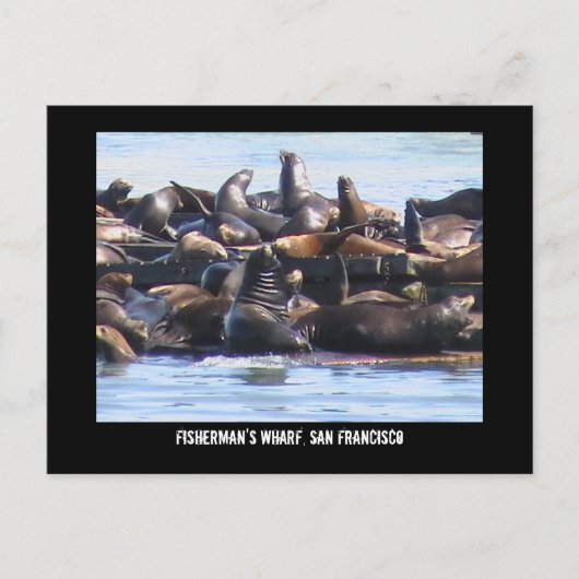 Fisherman's Wharf Postkarte (Vorderseite)