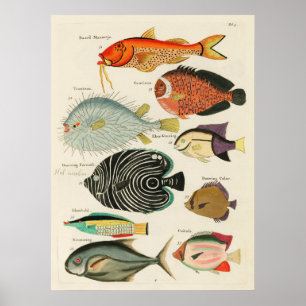 Fishes Poster