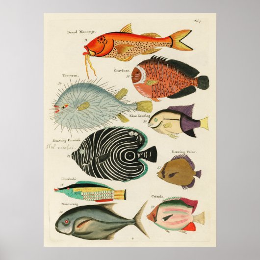 Fishes Poster (Vorne)