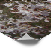 Fisheye Blick auf Butterfly auf Blume Poster (Ecke)