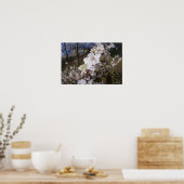 Fisheye Blick auf Butterfly auf Blume Poster (Küche)