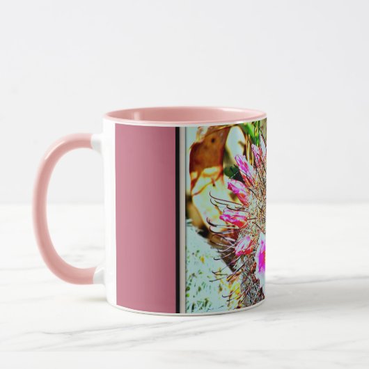Fishhook-Kaktus mit Rosa blüht Tasse (Links)