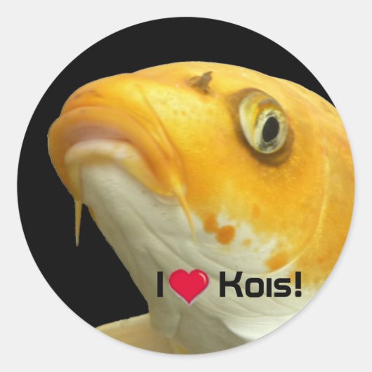 Fishies - Koi no.5 - I love Kois! Sticker (Vorderseite)