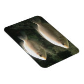 Fishies-Magnet Magnet (Rechte Seite)