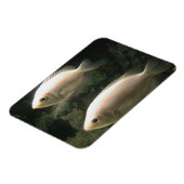 Fishies-Magnet Magnet (Linke Seite)