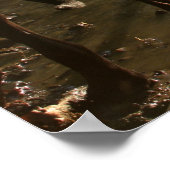 Fishin' Pit Bull Poster (Ecke)