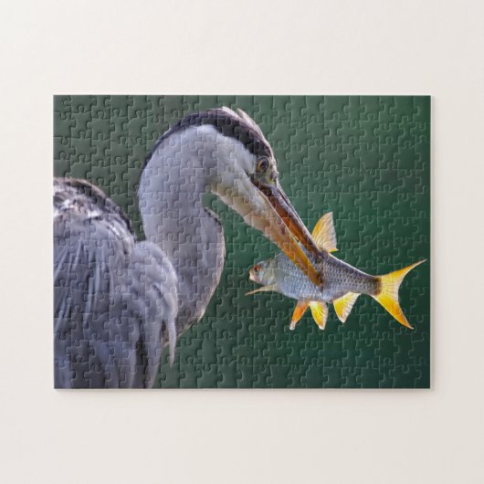 Fishing Heron Puzzle (Horizontal)