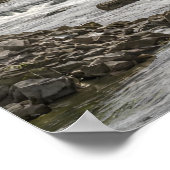 Fishing Wall Art Print Poster (Ecke)