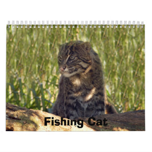 FishingCat008, Katze fischend Kalender